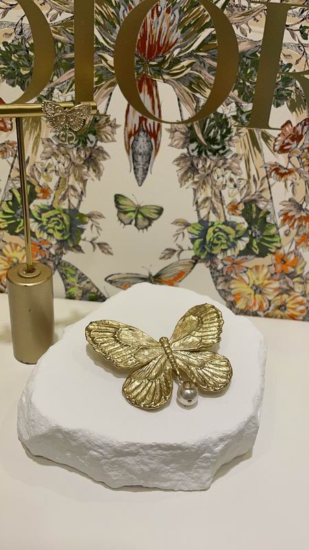 Dior Brooch 01lyr04